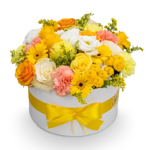 Box žlutých květin